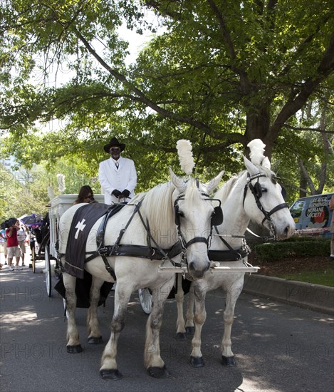 Horse Drawn Hearse for Do Dah Day