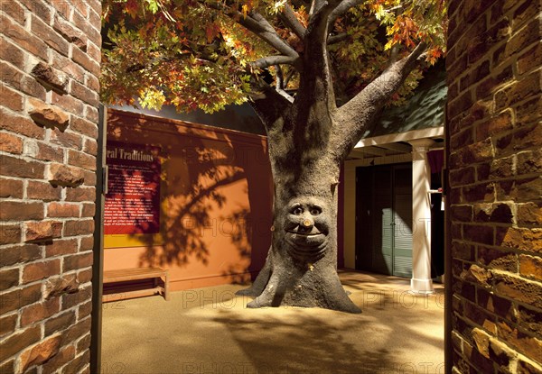 Tree with a face in Earlyworks Museum