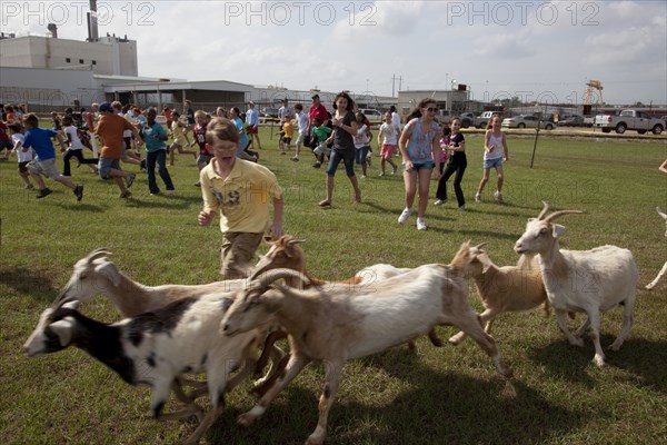 Racing with Goats