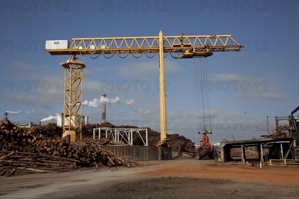 Crane Hoist Logs at Pulp Factory