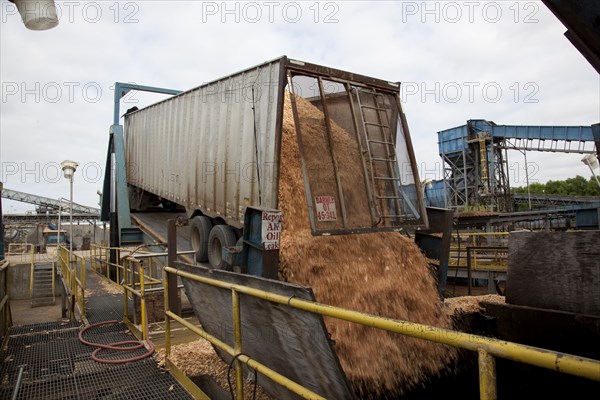 Trailer Unloads Wood Chips