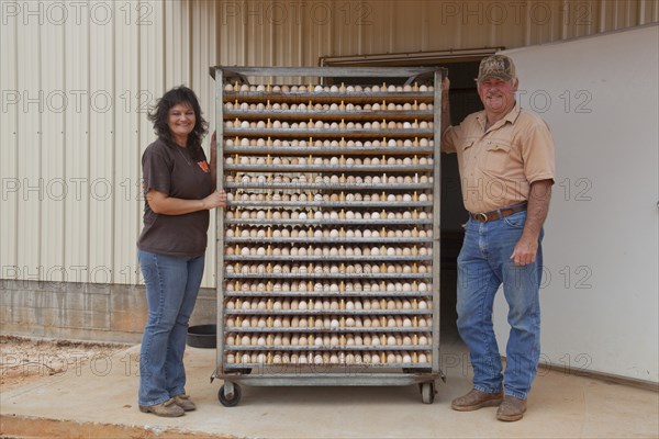 Racks of Eggs