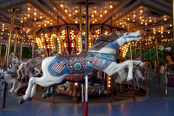 Carousel Horse