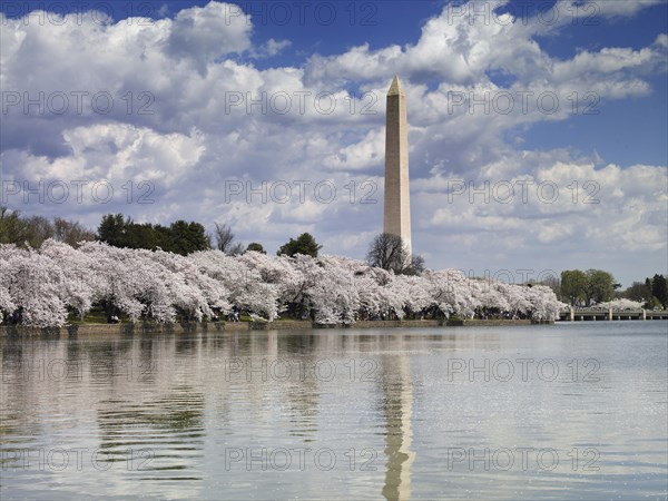 Washington Monument & Tidal Basin