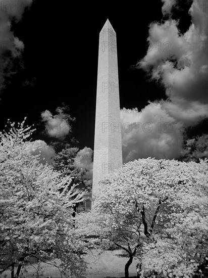 Washington Monument