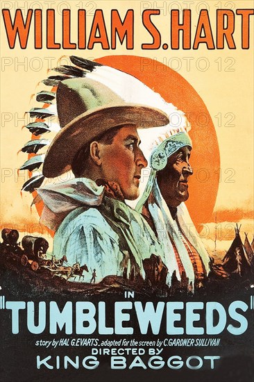 Tumbleweeds