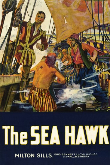 The Sea Hawk