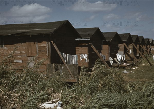 Condemned Negro Migratory Worker Homes
