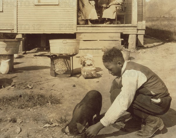 Boy & His pig