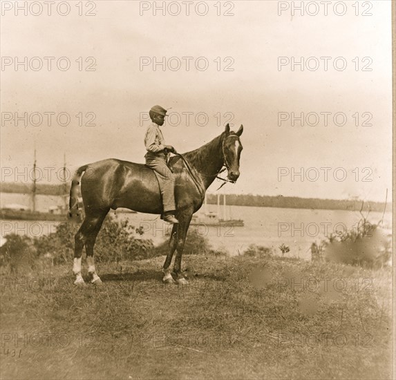 Gen. Rawlin's horse taken at Cold Harbor, Va.