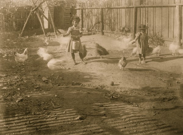 Two African American children feeding chickens in a fenced-in yard