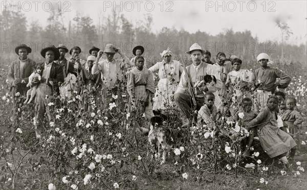 The cotton planter and his pickers