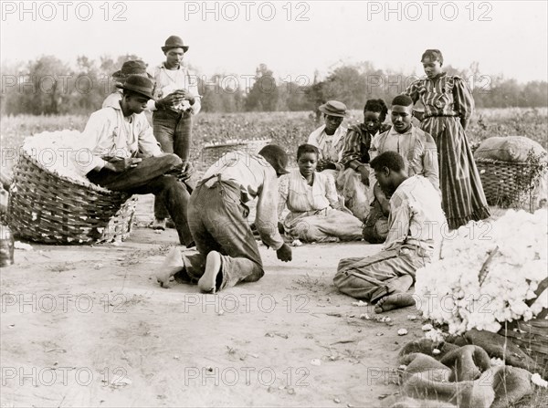 African Americans resting and shooting dice at edge of cotton field