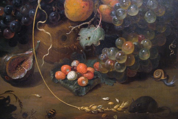 Still Life Detail of Fruit and Snail
