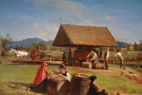 Cider Making