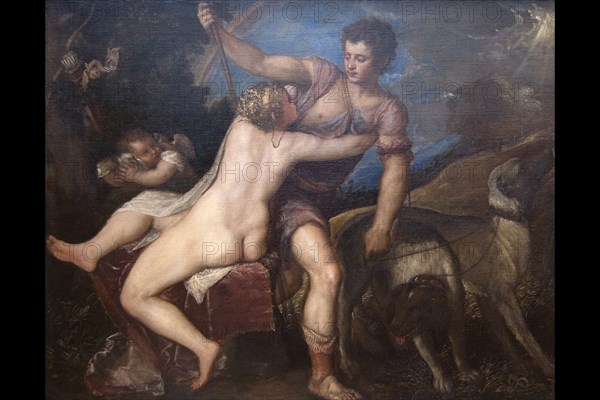 Venus & Adonis