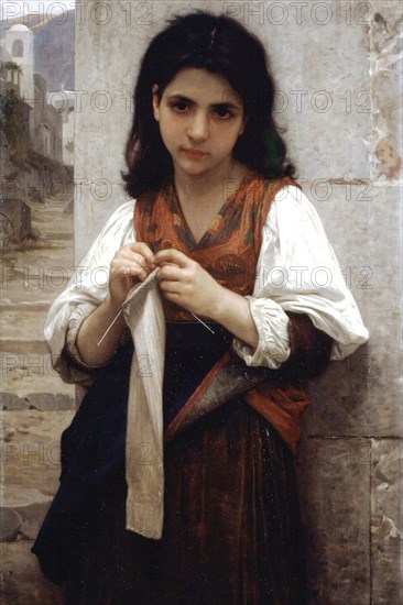 The Little Knitter