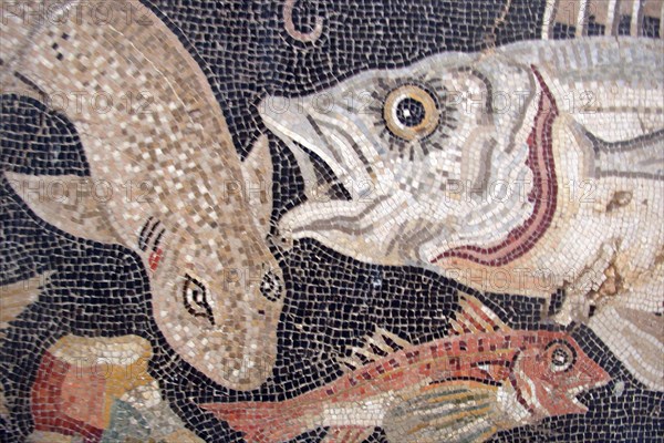 Fish Mosaic