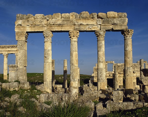 Northern door, in the last section of the cardo maximus.