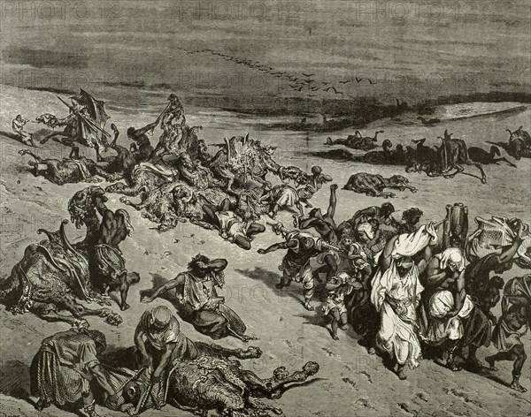 The Murrain of Beast. The Fifth Plague: Livestock Disease. Exod 9. Engraving by Gustave Dore. 19th C.