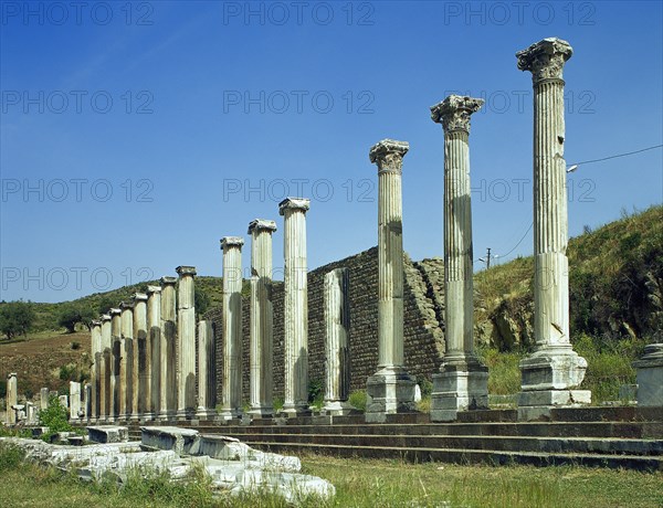 Columns of the North portic.