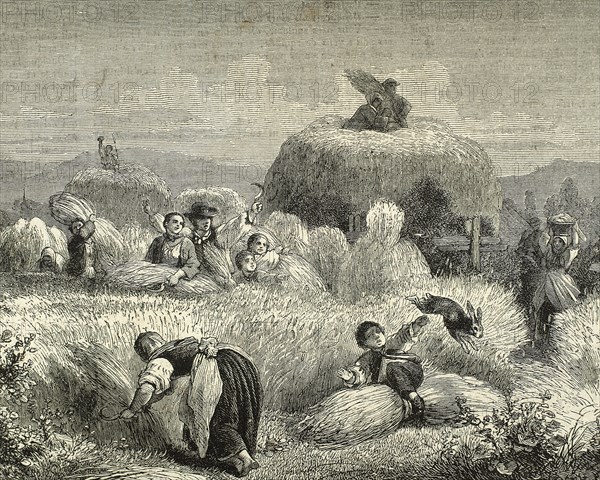 Agriculture. Mowing. Engraving, 19th century.