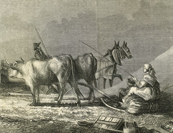 Agriculture. Threshing. Engraving by R. Milliet. 19th century.