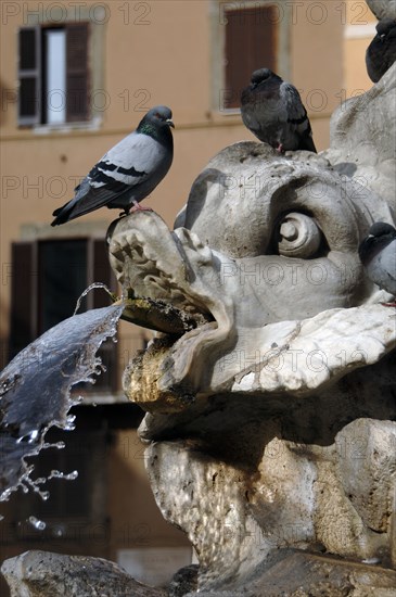 Fountain of the Pantheon at Piazza della Rotonda.