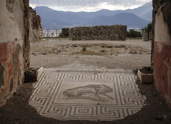 Pompeii. Ruins. Mosaic.