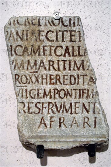 Praefectus annonae. Inscription, base on ancient manuscript, placed for the prefect C. iunius Favianus.