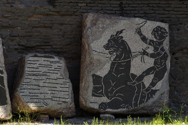 Baths of Caracalla.