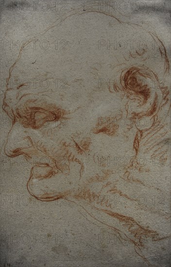Head of Seneca.