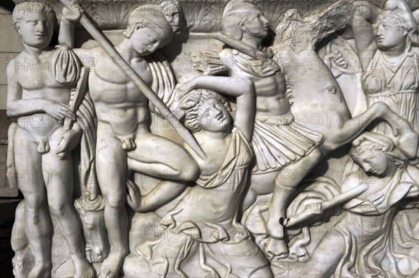 Battle between the Amazons and the Greeks.