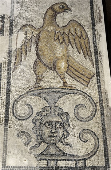 Eagle and Medusa Head.