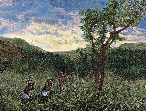 Congo. Expedition of Lieutenant Mizon.