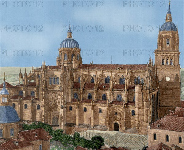 New Cathedral of Salamanca.