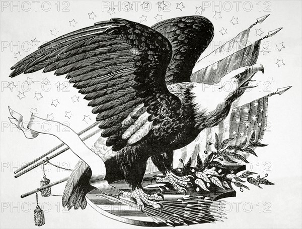 Bald eagle and other patriotic symbols of the American Revolutionary War.