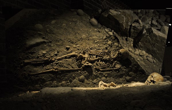 Cementery of the House of the Holy Spirit. Skeletons.