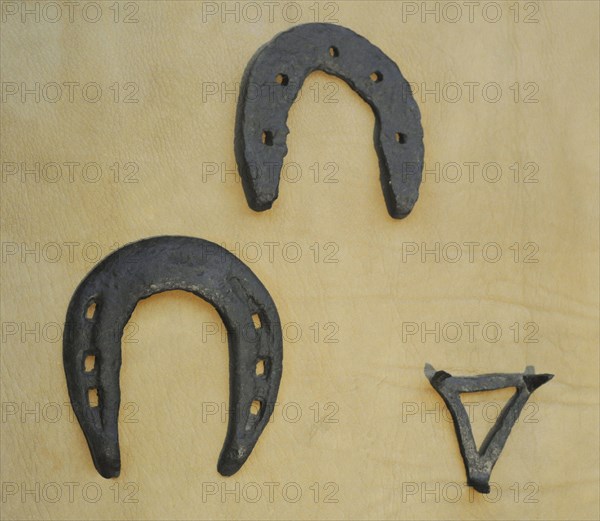 Horseshoes.