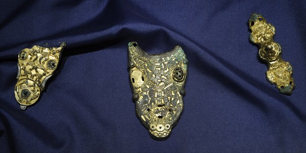 Brooch Fragment.