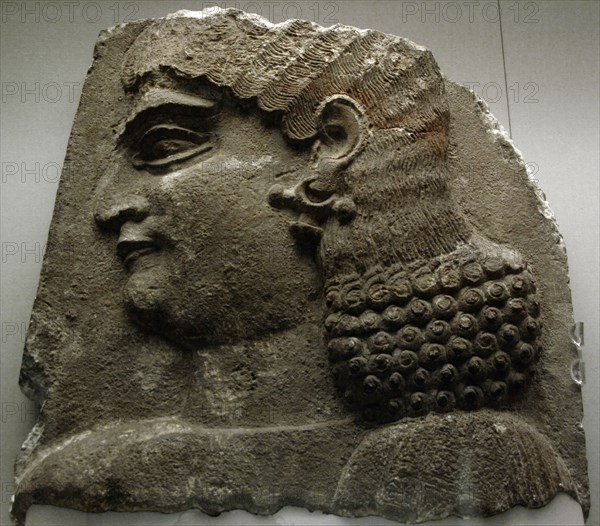 Head of a eunuch.