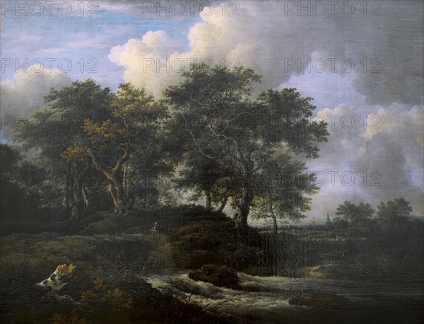 Jacob Isaacksz van Ruisdael.
