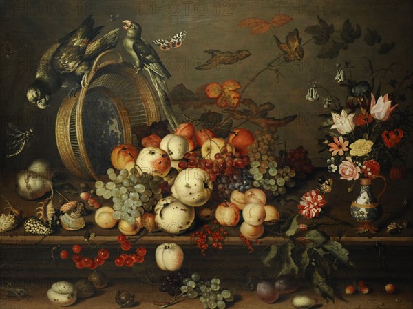 Still Life with Fruits, Shells and Insects.