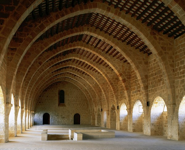 Monastery of Santa Maria de Santes Creus. Cistercian. Dormitory, 1191. Catalonia. Spain.
