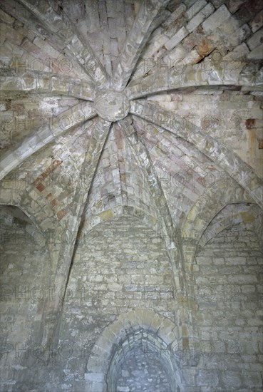 France. Aude. Puivert castle. The music' room. Vault.