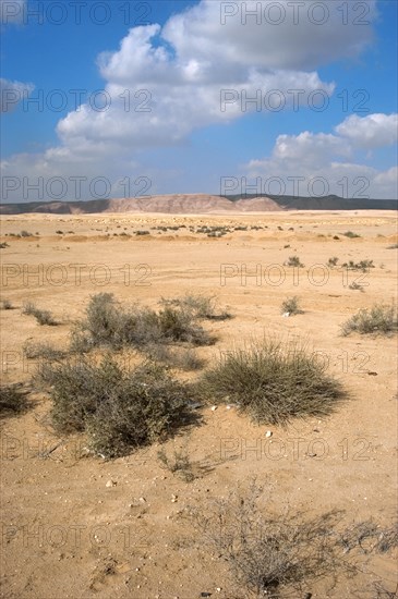 Desert landscape between Suez and Cairo.