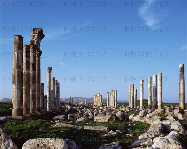 Cardo Maximus, colonnade avenue.