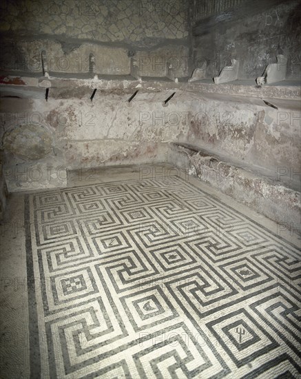 Thermal baths. Female tepidarium.