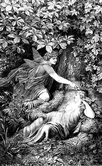 a scene from A Midsummer Night's Dream