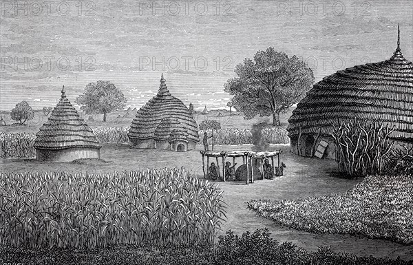 Aboriginal farm from the Dinka tribe